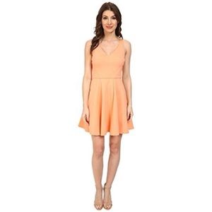 ABS Allen Schwartz Fit and Flare Dress